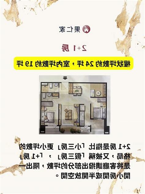 2+1房 意思